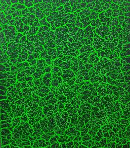 Neon Green Crackle