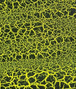 Neon Yellow Crackle