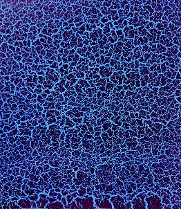 Power Blue Crackle