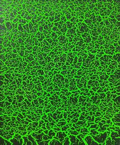 Sublime Crackle