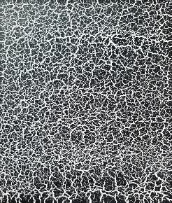 Arctic White Crackle